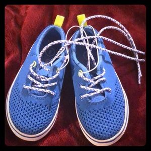 Nwot summer boy shows in bright blue